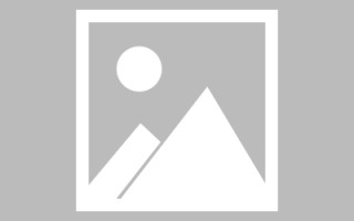 株洲斑马网站高清素材视频（斑马视频最新版）